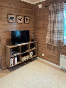 TV/trung tâm giải trí tại Traditional Log Cabin By Lake Mykletjønn