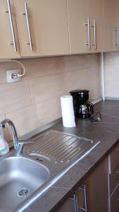 a kitchen sink with a roll of paper towels on the counter at Apartament Central in Piatra Neamţ +6 photos