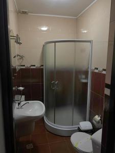 瓦特拉多尔内Pensiunea Tora的带淋浴、水槽和马桶的浴室