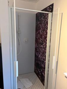 a bathroom with a shower with a glass door at Moselfreunde Ellenz-Poltersdorf in Ellenz-Poltersdorf