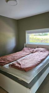 a bed in a bedroom with a window at Hytte Med Havudsigt Nær Kristiansand in Hamresanden