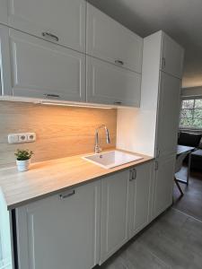 Kuchyň nebo kuchyňský kout v ubytování Ferienwohnung Am Weifberg in Hinterhermsdorf