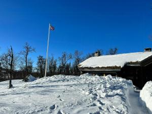Large Log Cabin, Ski Fun Near Dagali om vinteren