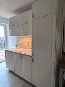 Kuchyň nebo kuchyňský kout v ubytování Ferienwohnung Am Weifberg in Hinterhermsdorf + 15 fotografií