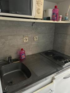 eine Küchentheke mit Spüle und Mikrowelle in der Unterkunft Charmant studio proche Disneyland Paris in Bussy-Saint-Georges