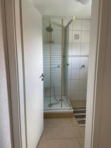 a bathroom with a shower with a glass door at Eigentumswohnung für 5 Personen in Donzdorf