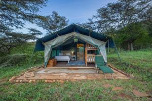 a tent with a bed and chairs in a field at Private bush camp with pool cottages tents - 2332 in Ilbisil