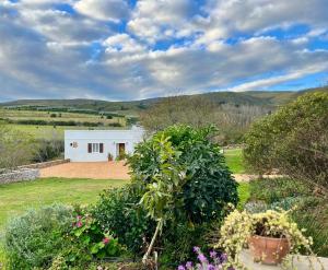 a white house in the middle of a field at Jonkershuis Farm Retreat in Heidelberg