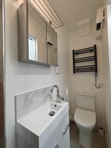 ein Badezimmer mit einem weißen Waschbecken und einer Toilette in der Unterkunft Skylit Studio Retreat in Norwood