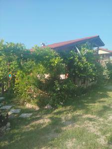 Φωτογραφία από το άλμπουμ του Gulseven Bungalow σε Dalaman