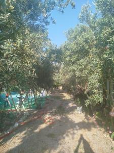 Φωτογραφία από το άλμπουμ του Gulseven Bungalow σε Dalaman