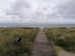 Φυσικό τοπίο κοντά σε αυτή η παραθεριστική κατοικία +32 φωτογραφίες