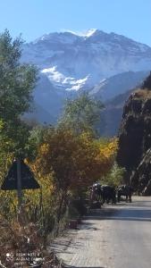 Gallery image of Adrar view lodge in Imlil +7 photos