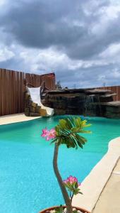 eine Topfpflanze neben einem Pool in der Unterkunft Pousada Santo Amaro in Santo Amaro