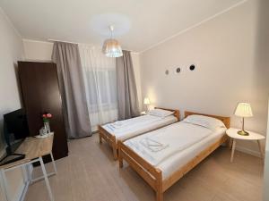 Φωτογραφία από το άλμπουμ του Pensiunea LAZY σε Selimbar