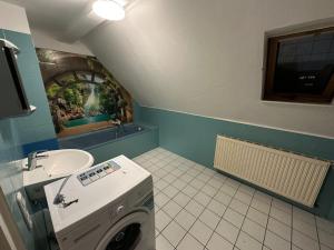un bagno con lavatrice e lavandino di Exclusive Monteursunterkunft a Wunsiedel Altre 10 foto