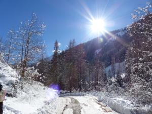 Příroda nedaleko apartmánu + 6 fotografií