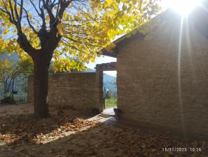 Ein Baum neben einer Backsteinmauer, die Sonne scheint. in der Unterkunft B&B Al Borgo in Corciano