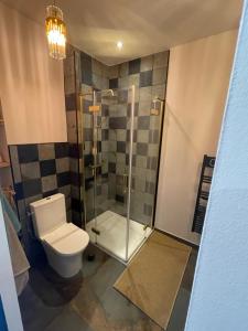 a bathroom with a toilet and a glass shower at La parenthèse in Millau