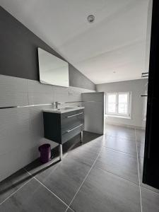 ein Badezimmer mit Waschbecken und Spiegel in der Unterkunft Chez Gomera in Verdun-sur-Meuse