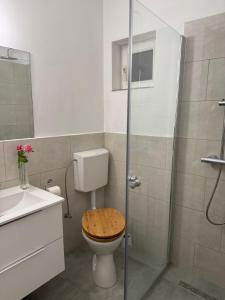 Ένα μπάνιο στο Pensiunea LAZY