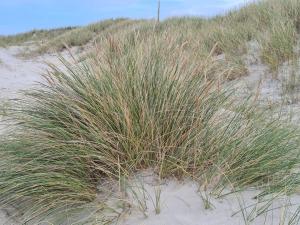 Příroda nedaleko prázdninového domu