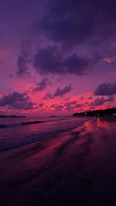 Φυσικό τοπίο κοντά σε αυτός ο ξενώνας +17 φωτογραφίες