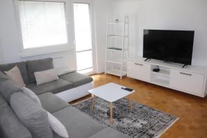 TV a/nebo společenská místnost v ubytování Apartment Valis