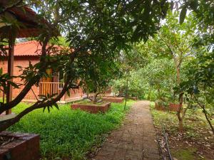 Κήπος έξω από το Desai's Mango Retreat +5 φωτογραφίες