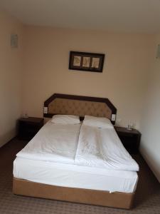 Hotel Podkovata客房内的一张或多张床位
