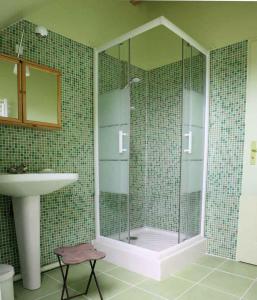 a bathroom with a shower and a sink at Gîte La Poterie in Jupilles