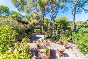 En have udenfor Villa Tenis