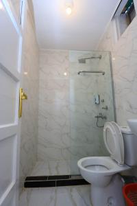 ein Badezimmer mit Dusche, Toilette und Waschbecken in der Unterkunft Luxor Nile Palace in Luxor + 15 Fotos