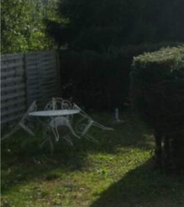 einen Picknicktisch im Gras im Hof in der Unterkunft Maison Usclade Murat-le-Quaire in La Celle-sous-Gouzon