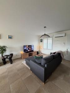 un soggiorno con divano e TV a schermo piatto di Maison à la campagne a Quarouble