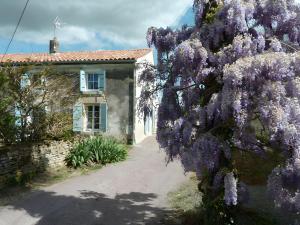 a house with a purple flowering tree in front of it at Gîte Du Maroye in Montreuil