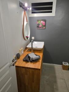 a bathroom with a sink and a mirror on a counter at Villa Écrin de Nature in Sainte-Rose +27 photos