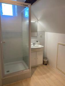 een badkamer met een douche en een wastafel bij Le Duplex Cosy in Orléans