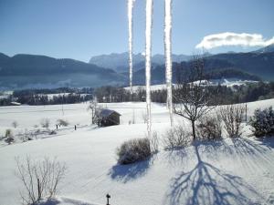Φυσικό τοπίο κοντά σε αυτό το διαμέρισμα