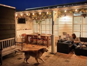 a dog walking in a patio with two people and a table at Multi-bedroom Stay, 9 Rooms Near Beach in Zoutelande