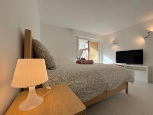 ein Schlafzimmer mit einem Bett mit einer Lampe und einem TV in der Unterkunft Le Nid des Frênes - Studio au Cœur de la Nature in Boersch