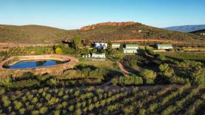 an aerial view of a vineyard with a house at Red Ridge Mountain Lodge in Buffelskloof