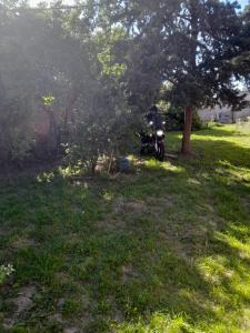 Zahrada ubytování Hostel, La Casa del Patio