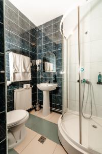 La salle de bains est pourvue d'une douche, de toilettes et d'un lavabo. dans l'établissement Hotel Strelitia, à Timişoara