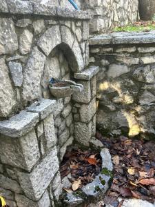 Φωτογραφία από το άλμπουμ του MOUNTAIN NEST - your fairytale escape σε Άνω Πολύδροσος