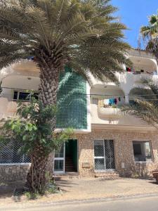 Budova, kde se apartmán nachází + 17 fotografií