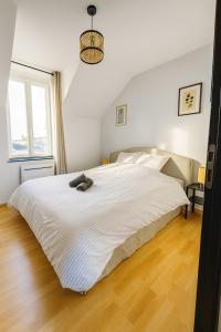 a large white bed in a bedroom with a window at Canal apartment ! Close to USON & Pont de Loire Nevers in Nevers +9 photos