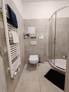 Star Apartments Brno C33# by Starbnb EU في برنو: حمام مع دش ومرحاض ومغسلة