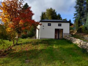 Сад в Lučany nad Nisou 804