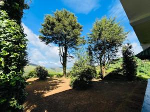 a view from the yard of a house with trees at The Crown's lodge Nuwara Eliya in Nuwara Eliya